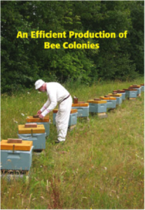 A beekeeper checking on his beehives