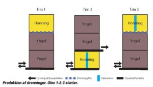 Produktion af dronninger