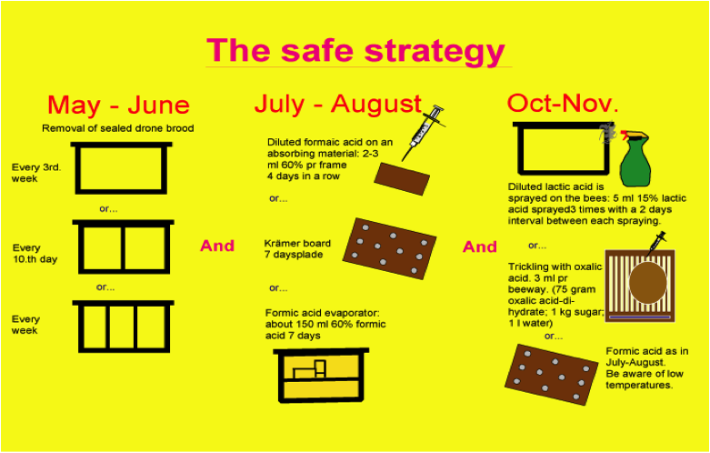 THESAFESTRATEGY