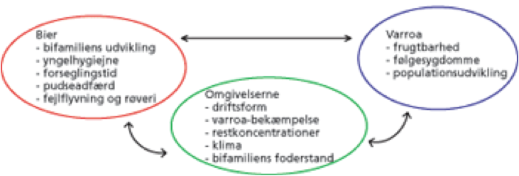 TOLERANTEBIER