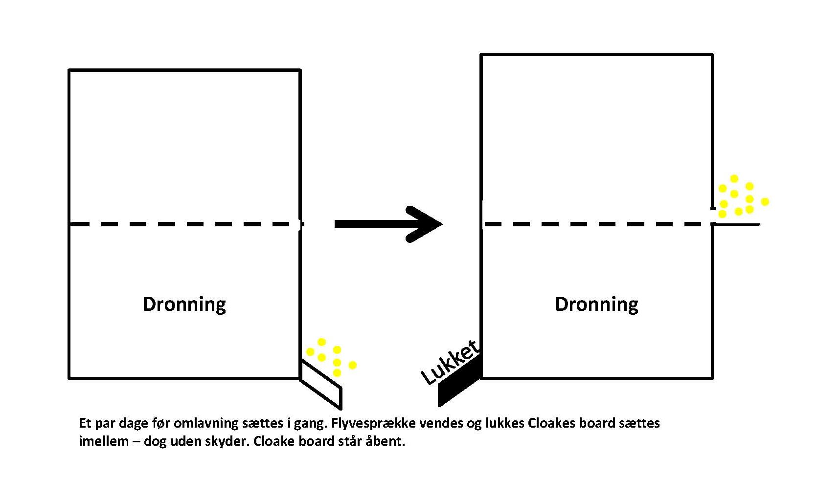 starter finisher_Side_2