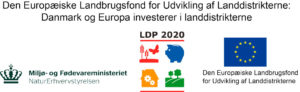 Logo_NAER_EU_tekst_LDP20